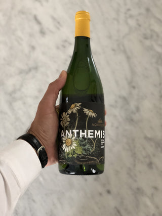 Vino Monteleone Anthemis Etna Bianco DOC 2019 - Sitalia Deli