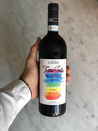 Cantina Canaio - Terrasolla Cortona - Sitalia Deli